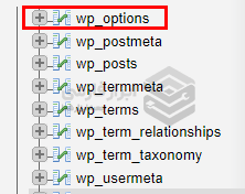 جدول wp_option وردپرس
